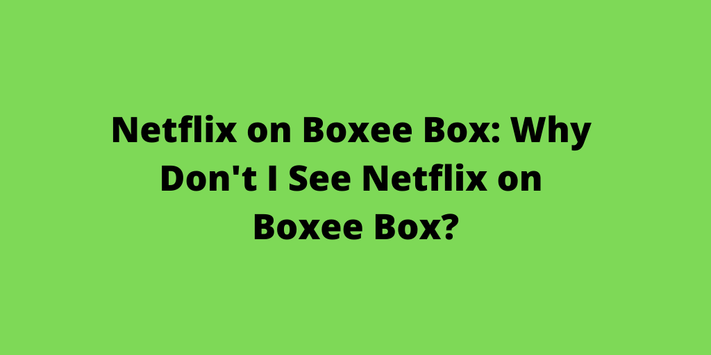 Netflix on Boxee Box