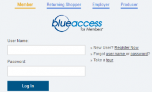 blue access for members login provider