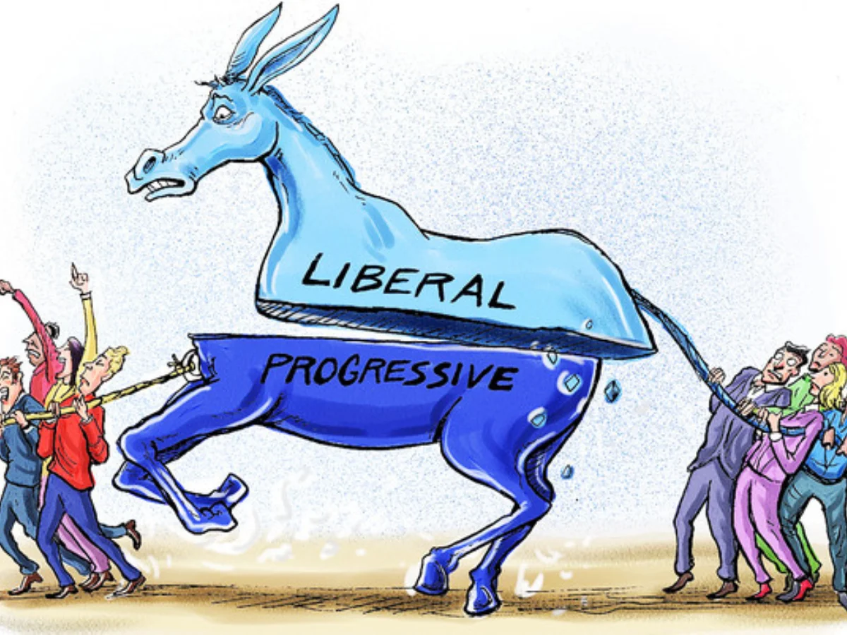 liberal and progressive ideological values