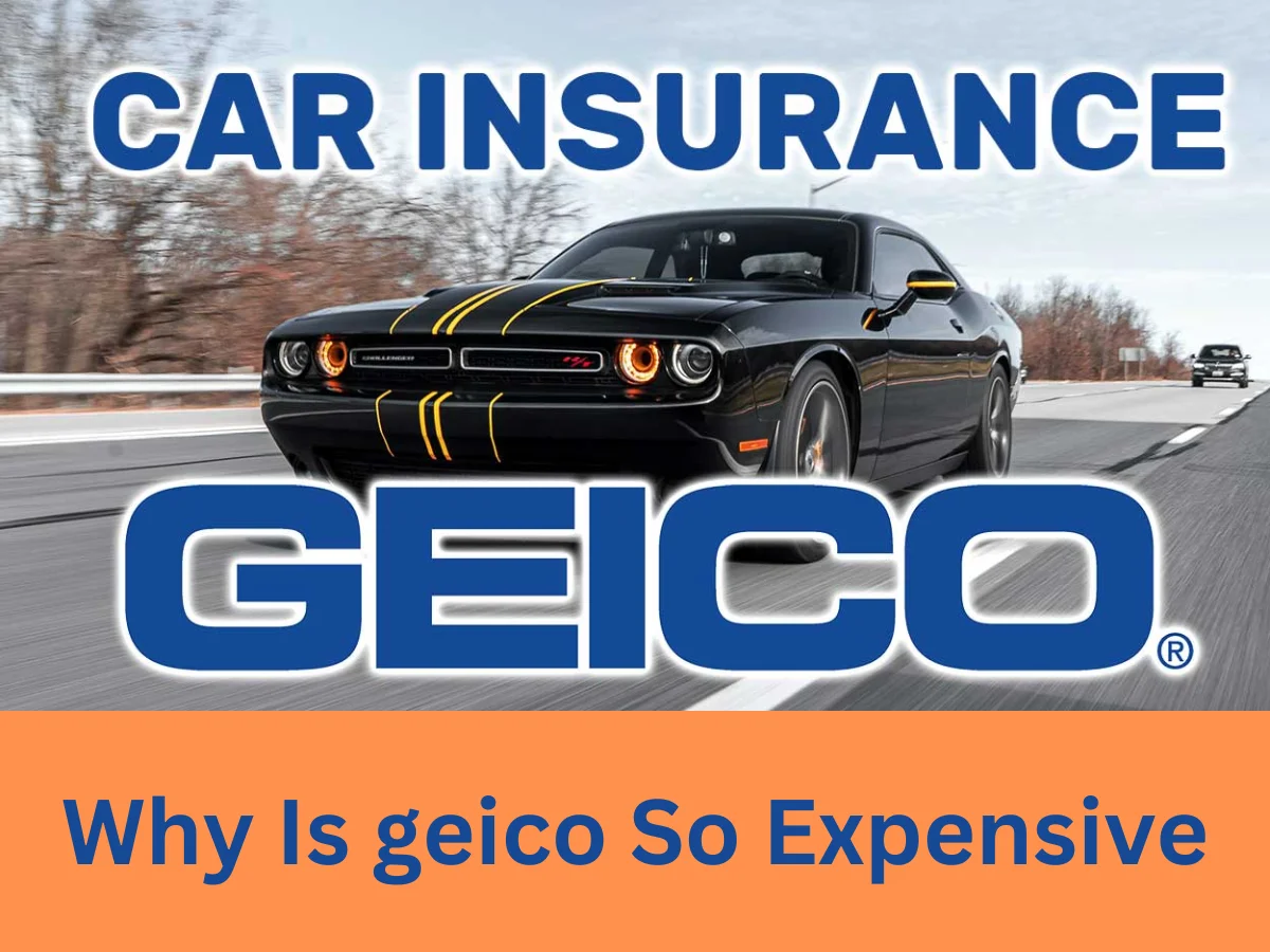 why is geico so expensive